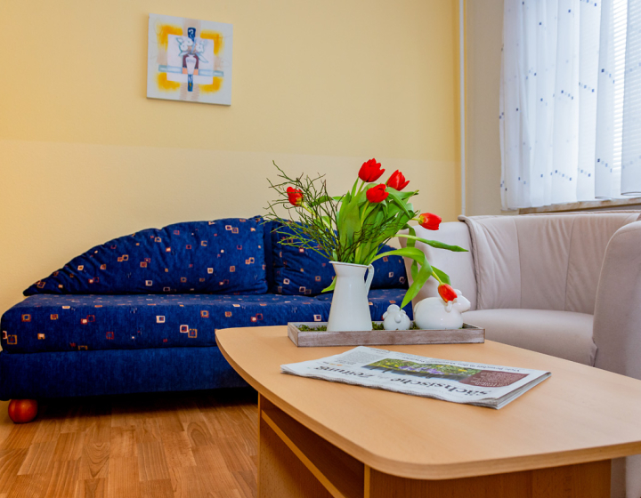 Gästewohnung Radebeuler Straße 6b - Blaues Sofa mit Clubtisch und roten Tulpen