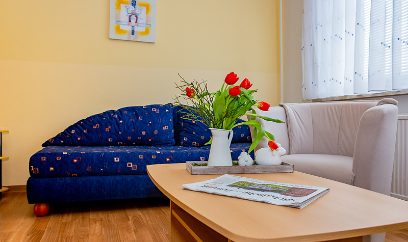Gästewohnung Radebeuler Straße 6b - Blaues Sofa mit Clubtisch und roten Tulpen