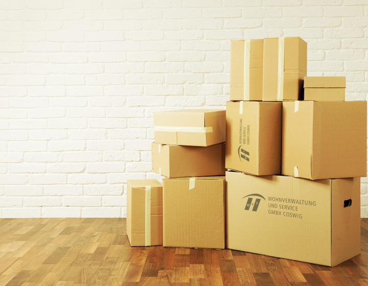 Bild in eine Lagerbox mit Kartons der WVS Coswig