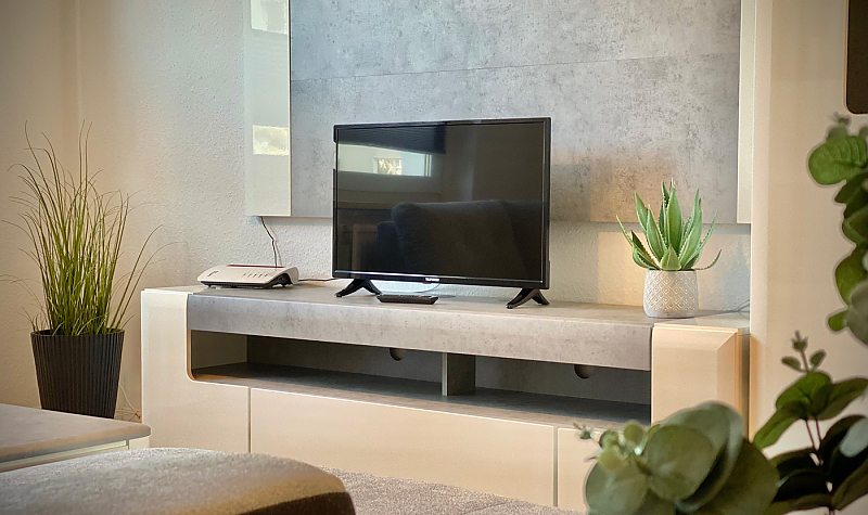 Medienwand mit Fernseher und Grünpflanzen, farblich harmonisch abgestimmt